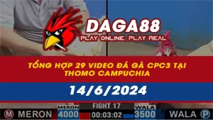 Tổng hợp 29 Video đá gà CPC3 tại Thomo Campuchia ngày 14/6/2024