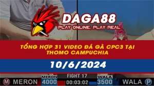 Tổng hợp 31 Video đá gà CPC3 tại Thomo Campuchia ngày 10/6/2024