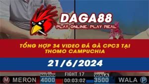 Tổng hợp 34 Video đá gà CPC3 tại Thomo Campuchia ngày 21/6/2024