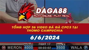 Tổng hợp 36 Video đá gà CPC3 tại Thomo Campuchia ngày 6/6/2024