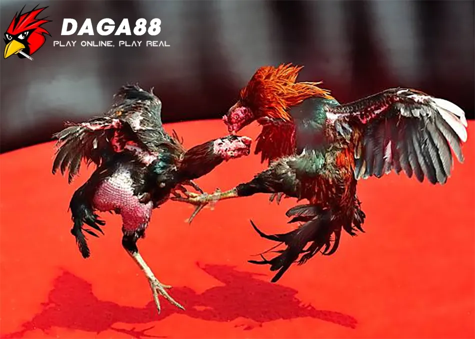 Gà Chạy Kiệu - Tốc Độ Và Sự Khôn Ngoan 3 DAGA88 Các Lối Đá Đặc Trưng Của Gà Chạy Kiệu