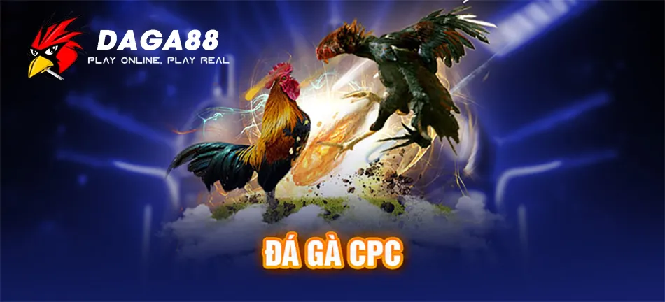 Đá Gà CPC Là Gì? Tìm Hiều Các Hình Thức Đá Gà CPC Hiện Nay 1 Giới thiệu Đá gà CPC – Cá cược trực tuyến đầy hấp dẫn DAGA88