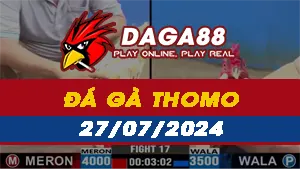 Tổng hợp 35Video đá gà CPC3 ngày 27/7/2024