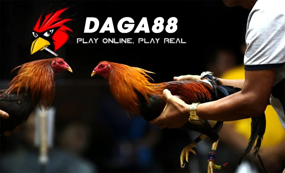 Bí Kíp Xem Ngày Tốt Đá Gà 2024: Theo Dõi Màu Mạng, Chọn Gà Đúng Ngày 3 Một số Những Lưu Ý Quan Trọng Khi Xem Ngày Tốt Đá Gà DAGA88